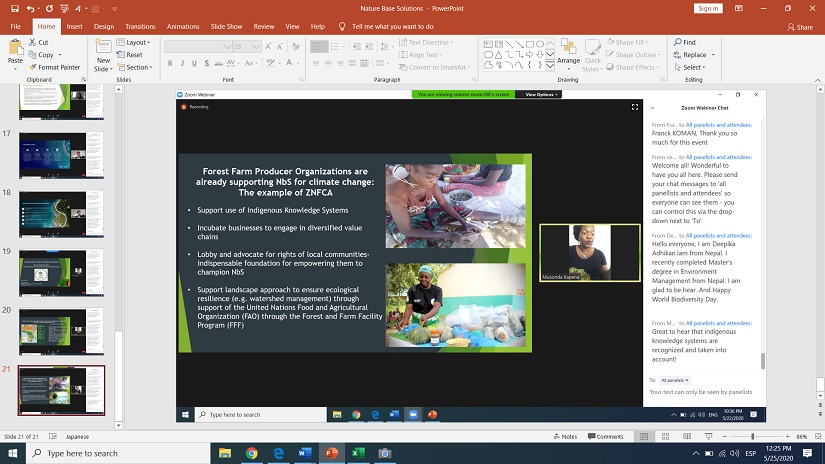 webinario